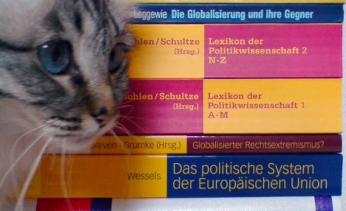 Politik und Katzen